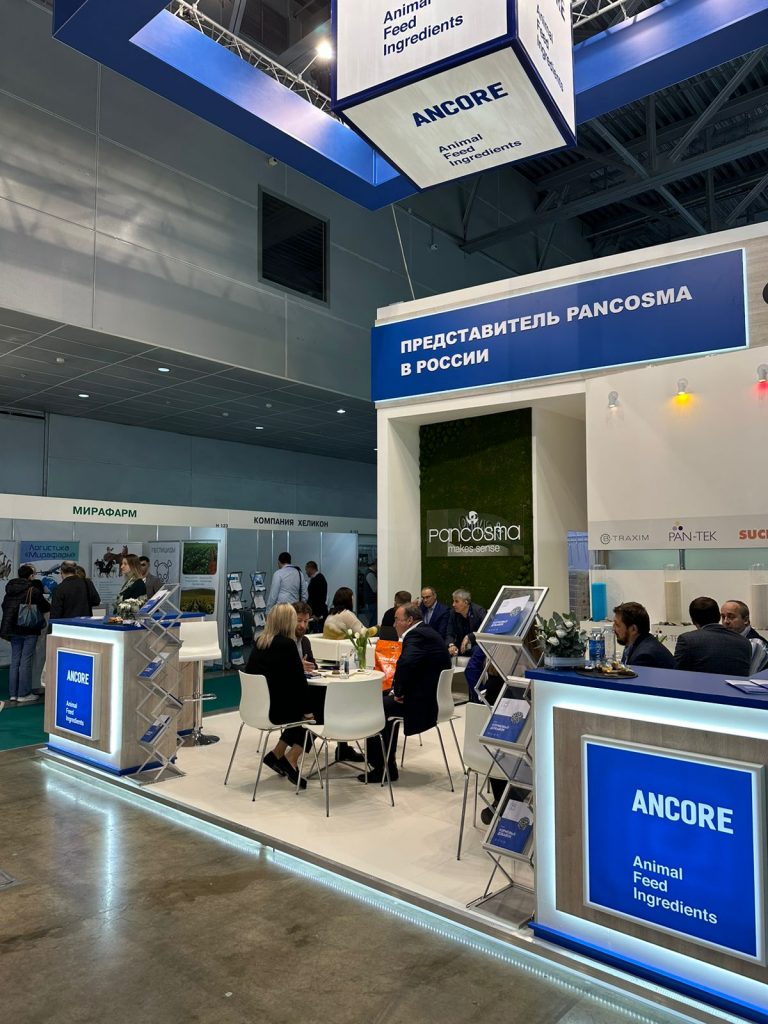 ANCORE